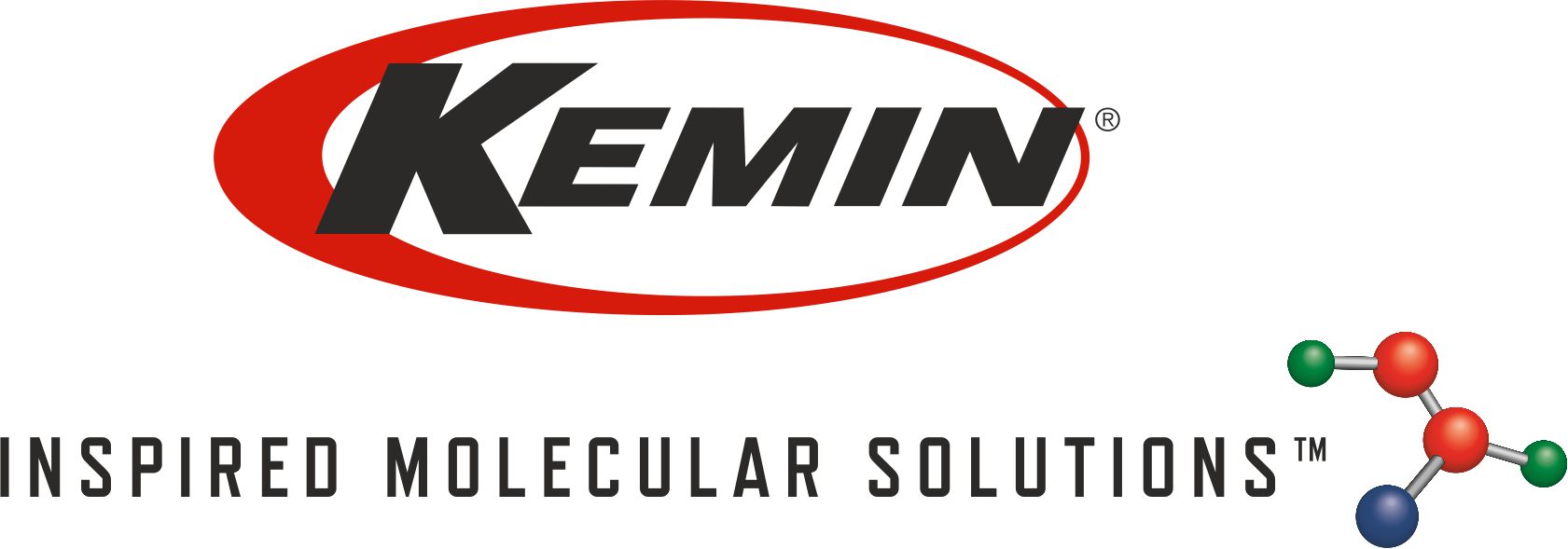 Logo Kermin